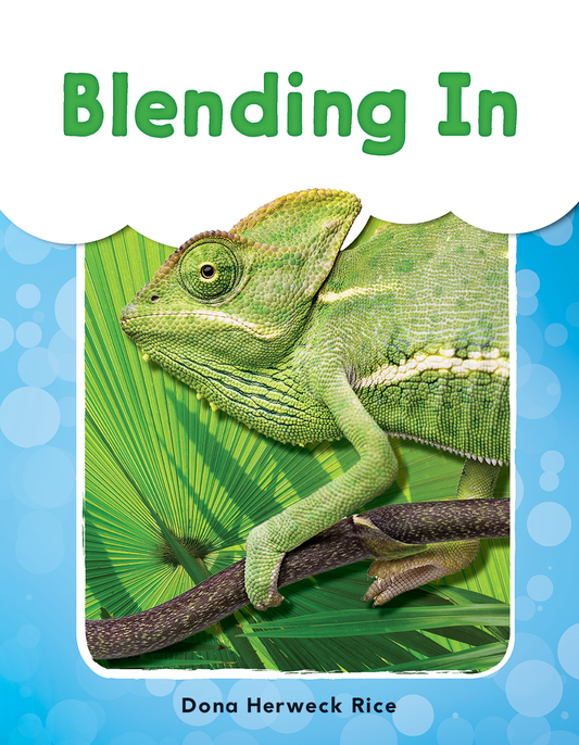 Blending In ebook